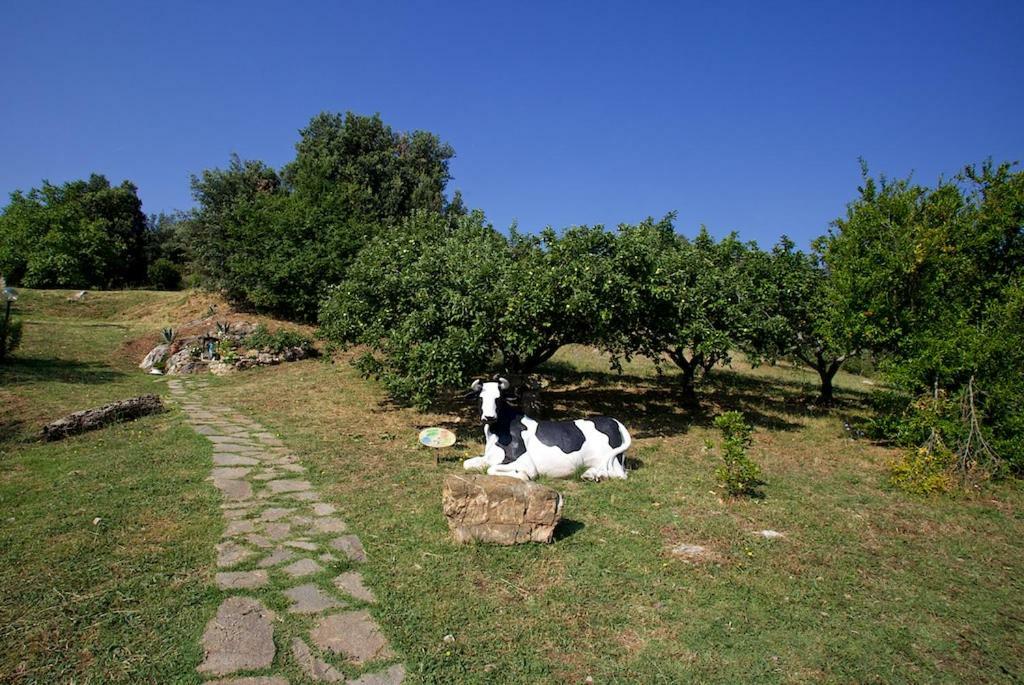 Villa Casa Conti Di Sotto à Gavorrano Extérieur photo
